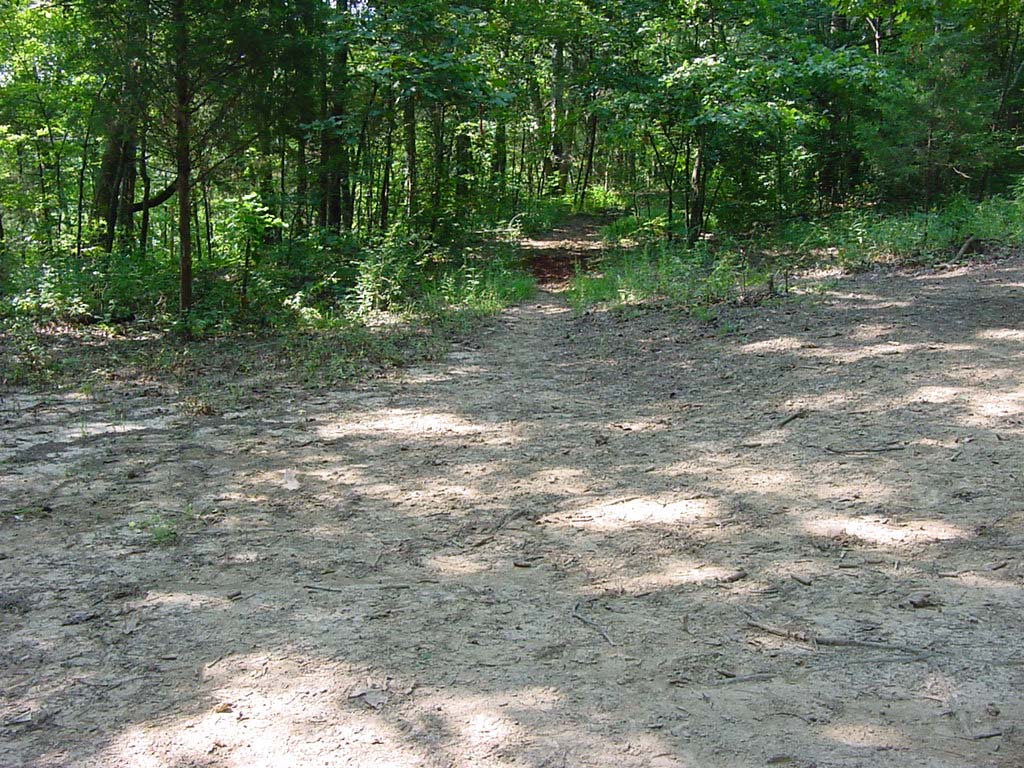 DSC00222