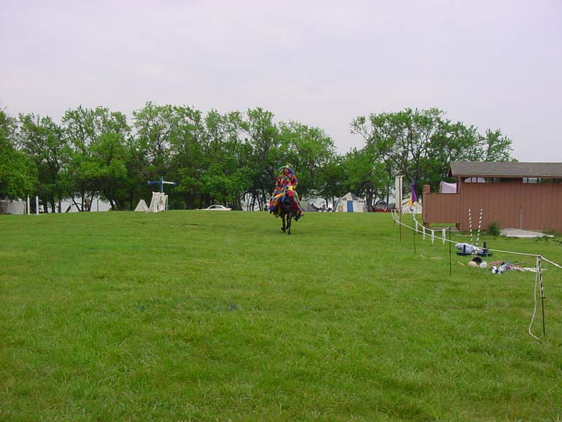 29
