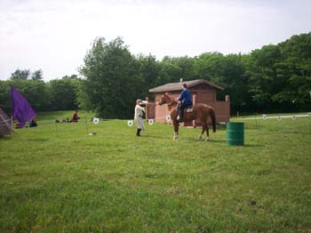 83